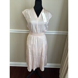 Goelia Woman’s Silk Lined minimal Regency core Dress Size S Light Pink